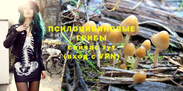 гидра Лабытнанги