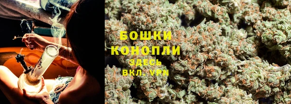 эйфоретик Янаул