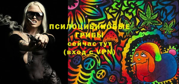 PSILOCYBIN Яранск