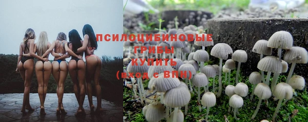 прущие грибы Яровое